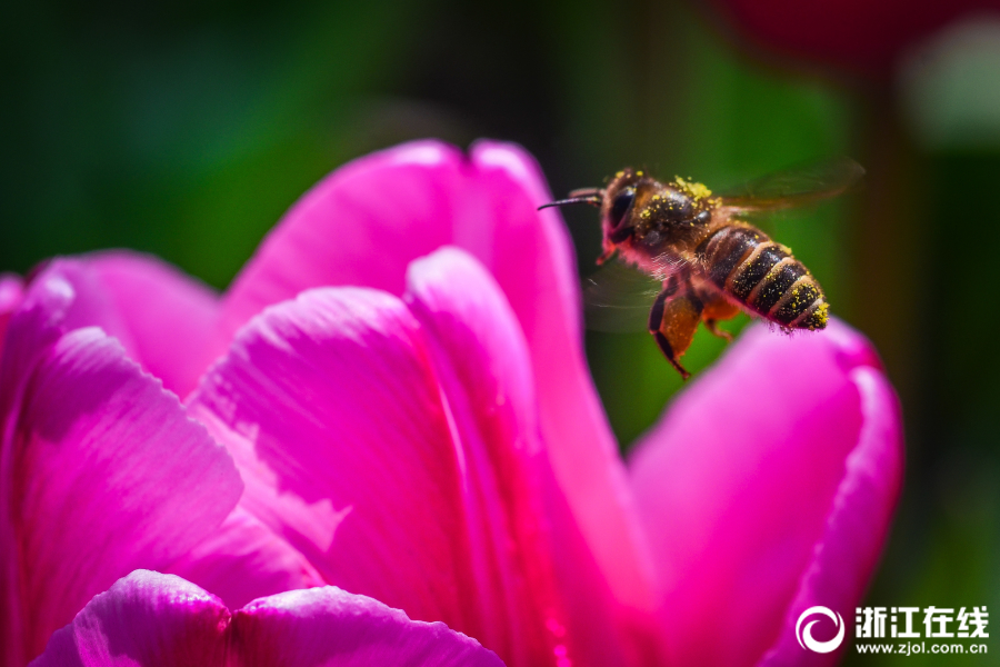 Skip：今晚我挑不出勒布朗任何毛病 雖然你最后8分23秒沒得分